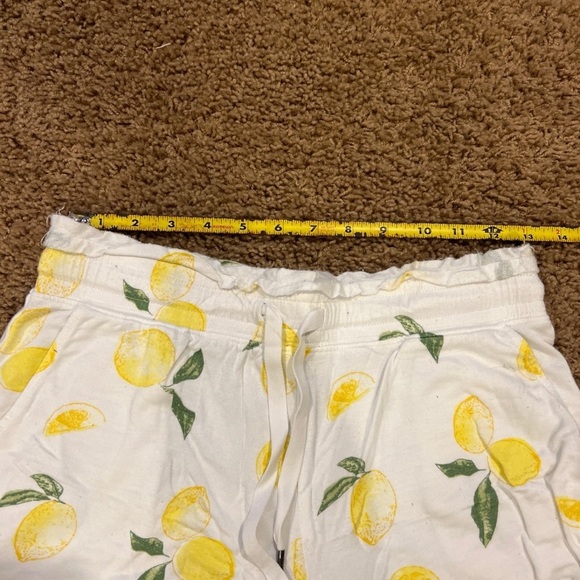 Z Supply Limonata shorts - Picture 5 of 9